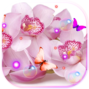 Descargar app Orquídea Rosada Live Wallpaper