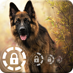 Descargar app Nice Doggy German Shepherd Wallpapers Pantalla disponible para descarga