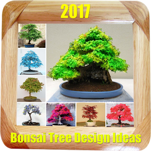 Descargar app Ideas Del Diseño Del árbol De Bonsai disponible para descarga