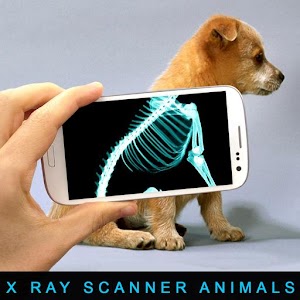 Descargar app Escáner De Xray Animales Broma disponible para descarga