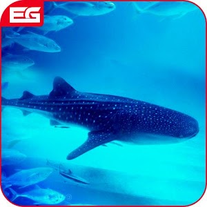 Descargar app Tiburón Hambre Simulador Ataque Juego disponible para descarga