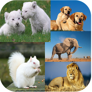 Descargar app Animal Backgrounds disponible para descarga