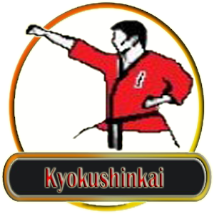 Descargar app Técnica Kyokushinkai
