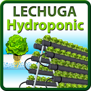 Descargar app Hydroponic Pyramid  Lechuga