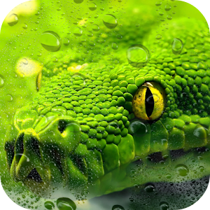 Descargar app Snake Live Wallpaper Pro disponible para descarga