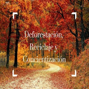 Descargar app Deforestación Y Reciclaje