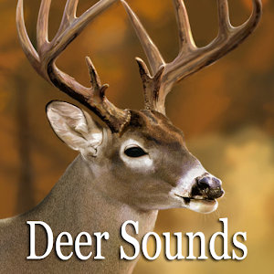 Descargar app Deer De Sonido