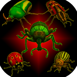 Descargar app Insectos Reales: Escarabajo