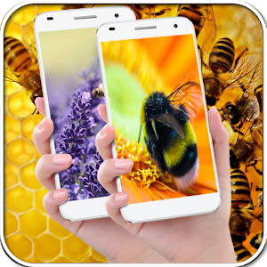 Descargar app Fondos De Pantalla De Honey Bee