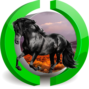 Descargar app El Mustang Negro Sal  Live Wp