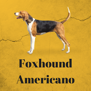 Descargar app Foxhound Americano