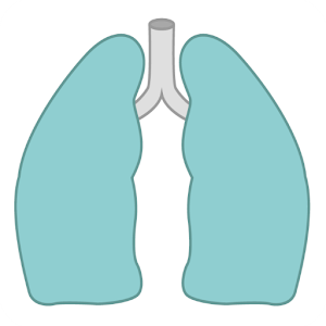 Descargar app Epoc Respira