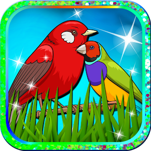 Descargar app Libro Para Colorear Pájaros disponible para descarga
