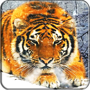 Descargar app Tiger Live Wallpaper disponible para descarga