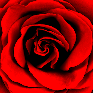 Descargar app Editor De Collage De Rosas disponible para descarga