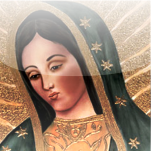 Descargar app Novena A La Virgen De Guadalupe disponible para descarga