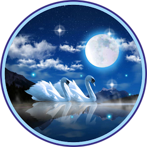 Descargar app Noche De Cisnes
