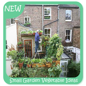 Descargar app Pequeñas Ideas Vegetales De Jardín disponible para descarga
