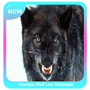 Descargar app Fearless Wolf Live Wallpaper