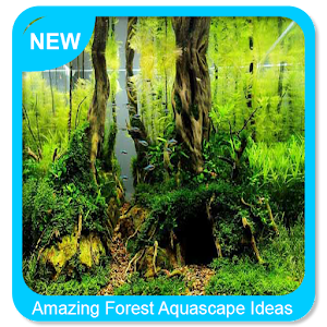 Descargar app Amazing Forest Aquascape Ideas disponible para descarga