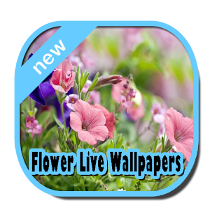 Descargar app Papel Pintado De La Flor Viva disponible para descarga