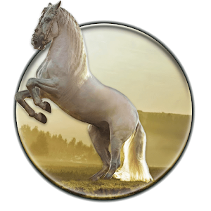 Descargar app Running Horse Hd Wallpaper disponible para descarga