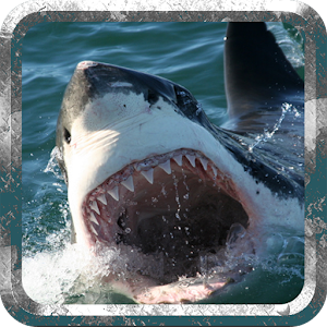 Descargar app Enojado Tiburón - Ataque Salva disponible para descarga