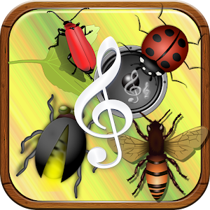 Descargar app Insectos