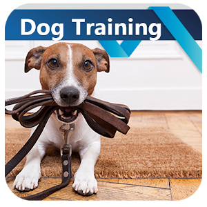 Descargar app Entrenamiento Canino disponible para descarga