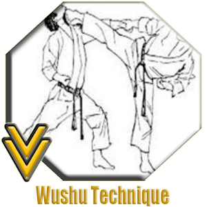 Descargar app La Técnica De Wushu