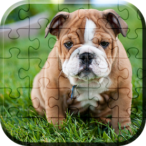 Descargar app Perros Cachorros Jigsaw Puzzle