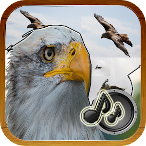 Descargar app Sonidos De Aves