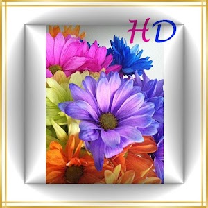 Descargar app Fondos De Flores disponible para descarga