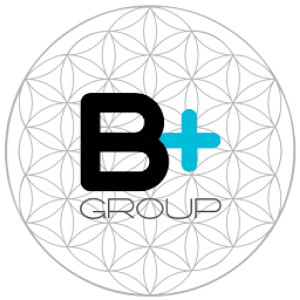 Descargar app B+ Group