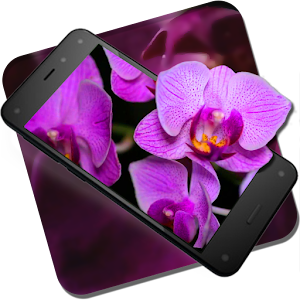 Descargar app Orquídea Resto Live Wallpaper