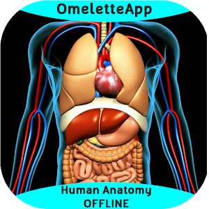 Descargar app Anatomía Humana - Sin ConexiÓn
