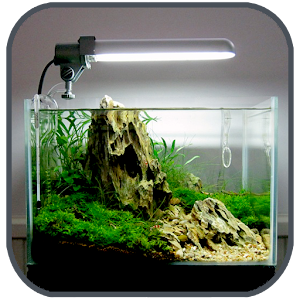 Descargar app Aquascape Aquarium Design disponible para descarga