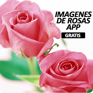 Descargar app Imagenes De Rosas