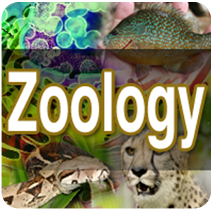 Descargar app Zoología