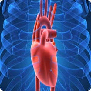 Descargar app Anatomía Humana disponible para descarga