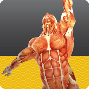 Descargar app Muscle Tests 1