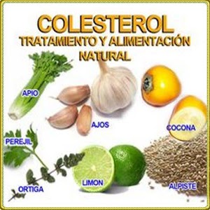 Descargar app Consejos Para Bajar Colesterol disponible para descarga
