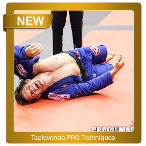 Descargar app Taekwondo Pro Techniques