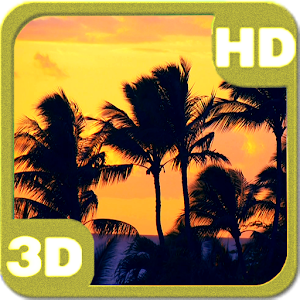 Descargar app Tropical Sunset Palm Beach Silhouette