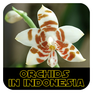 Descargar app Orquídeas En Indonesia disponible para descarga