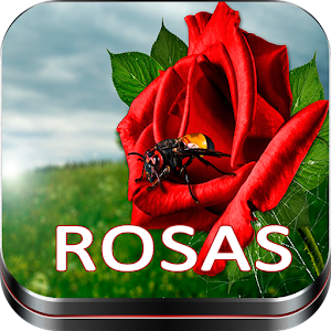 Descargar app Imagenes De Rosas: Imagenes De Flores Hermosas