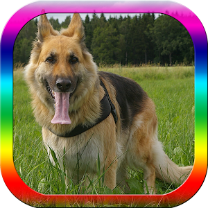 Descargar app Dog Obedience Training disponible para descarga
