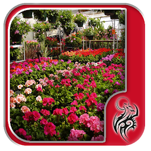 Descargar app Jardín Vivero De Ideas