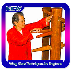 Descargar app Técnicas De Wing Chun Para Principiantes