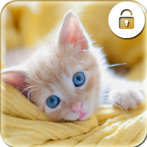 Descargar app Kitty Cat Screen Pin Lock